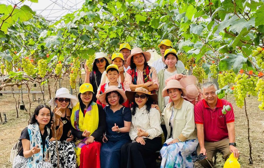 DU LỊCH PHAN THIẾT: TTC WORLD TÀ CÚ – HẢI ĐĂNG KÊ GÀ – BÌNH AN FARM – NOVA WORLD PHAN THIẾT | 2N1Đ|