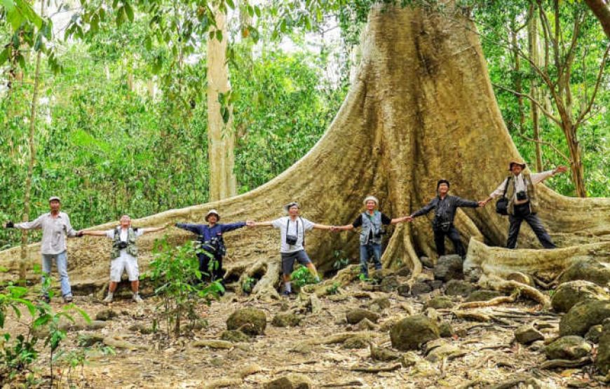 DU LỊCH “TẮM RỪNG” KHÁM PHÁ NAM CÁT TIÊN | 1 NGÀY | KHỞI HÀNH TỪ PHAN THIẾT