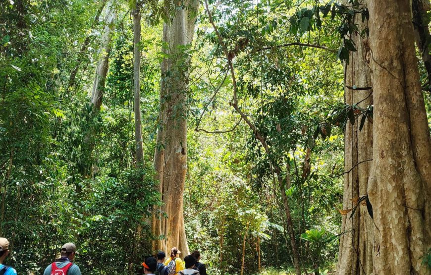 DU LỊCH “TẮM RỪNG” KHÁM PHÁ NAM CÁT TIÊN | 1 NGÀY | KHỞI HÀNH TỪ PHAN THIẾT