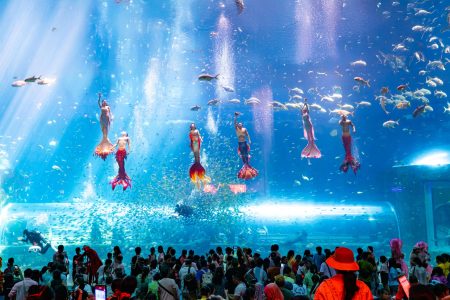 DU LỊCH PHÚ QUỐC 2026 – VIN WONDERS – SAFARI – GRAND WORLD – CÁP TREO SUN WORLD | 3N2Đ| BAY | KHỞI HÀNH TỪ PHAN THIẾT