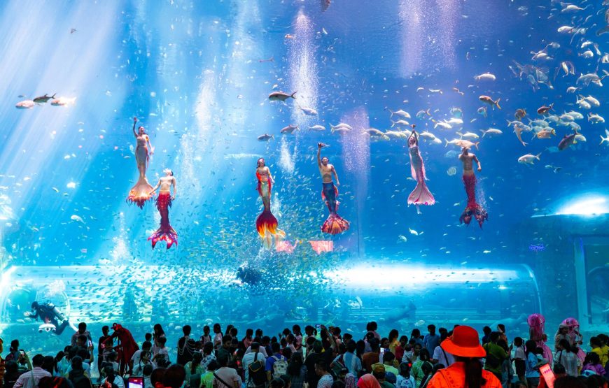 DU LỊCH PHÚ QUỐC 2026 – VIN WONDERS – SAFARI – GRAND WORLD – CÁP TREO SUN WORLD | 3N2Đ| BAY | KHỞI HÀNH TỪ PHAN THIẾT