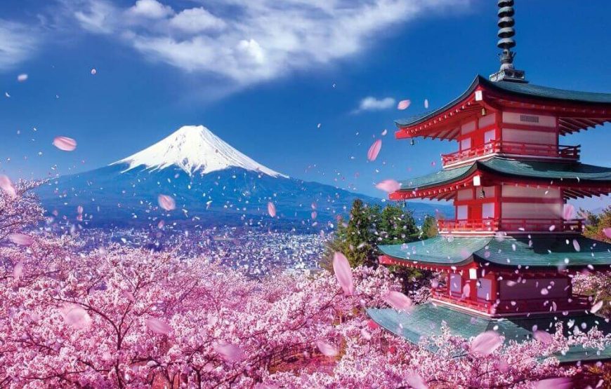 DU LỊCH NHẬT BẢN: TOKYO – OSAKA – KYOTO – NARA – NAGOYA – FUJI |5N5Đ| KHỞI HÀNH TỪ TP.HCM