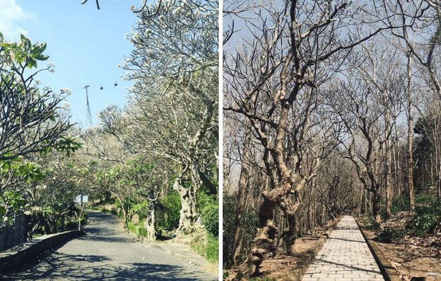 DU LỊCH VŨNG TÀU – CÁP TREO HỒ MÂY – SUNWORLD VŨNG TÀU| 2N1Đ| KHƠIT HÀNH TỪ PHAN THIẾT