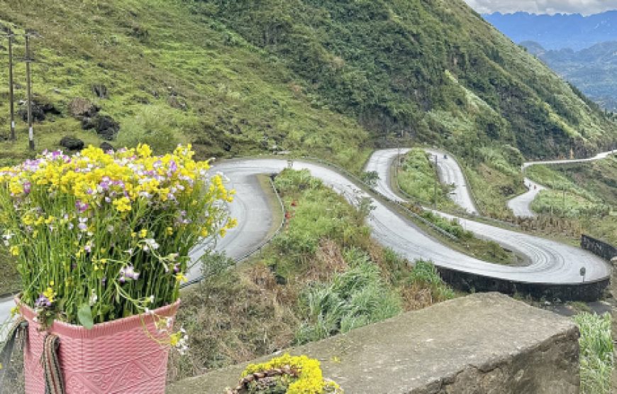 DU LỊCH ĐÔNG BẮC 2026: HÀ GIANG – CỘT CỜ LŨNG CÚ – LÔ LÔ CHẢI – ĐỒNG VĂN- ĐÈO MÃ PÌ LÈNG – CAO BẰNG – PÁC BÓ – BẢN GIỐC – HỒ BA BỂ | 6N5Đ | KHỞI HÀNH TỪ PHAN THIẾT