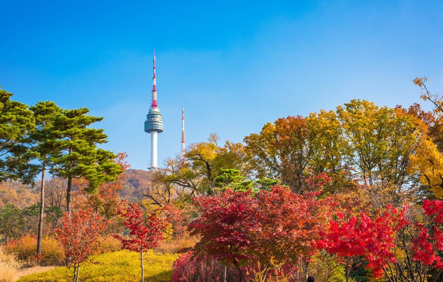 DU LỊCH HÀN QUỐC: SEOUL – NAMI – EVERLAND |5N4Đ| KHỞI HÀNH TỪ TP.HCM