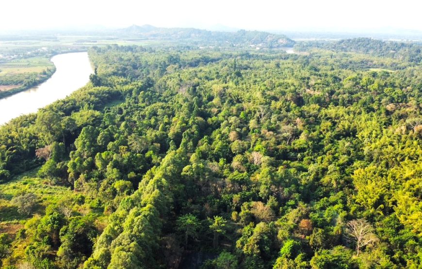 DU LỊCH “TẮM RỪNG” KHÁM PHÁ NAM CÁT TIÊN | 1 NGÀY | KHỞI HÀNH TỪ PHAN THIẾT