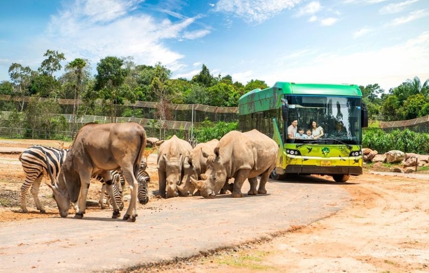 DU LỊCH PHÚ QUỐC 2026 – VIN WONDERS – SAFARI – GRAND WORLD – CÁP TREO SUN WORLD | 3N2Đ| BAY | KHỞI HÀNH TỪ PHAN THIẾT