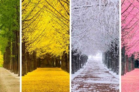 Cẩm nang du lịch Hàn Quốc theo mùa: Chọn thời điểm vàng cho chuyến đi đầu tiên