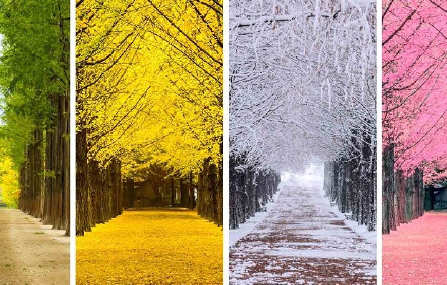 DU LỊCH HÀN QUỐC: SEOUL – NAMI – EVERLAND |5N4Đ| KHỞI HÀNH TỪ TP.HCM