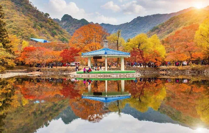 DU LỊCH HÀN QUỐC: SEOUL – NAMI – EVERLAND |5N4Đ| KHỞI HÀNH TỪ TP.HCM