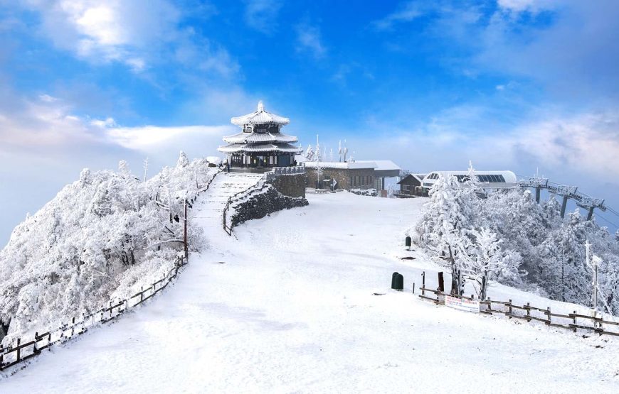 DU LỊCH HÀN QUỐC: SEOUL – NAMI – EVERLAND |5N4Đ| KHỞI HÀNH TỪ TP.HCM