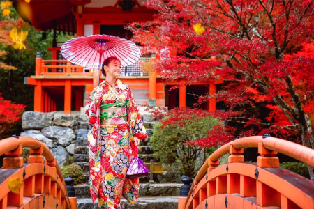 Kinh nghiệm Du lịch Nhật Bản Tự túc Từ A đến Z (Review & Lịch trình Chi tiết)