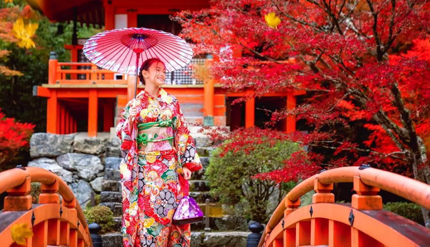 Kinh nghiệm Du lịch Nhật Bản Tự túc Từ A đến Z (Review & Lịch trình Chi tiết)