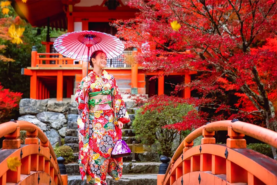 Kinh nghiệm Du lịch Nhật Bản Tự túc Từ A đến Z (Review & Lịch trình Chi tiết)