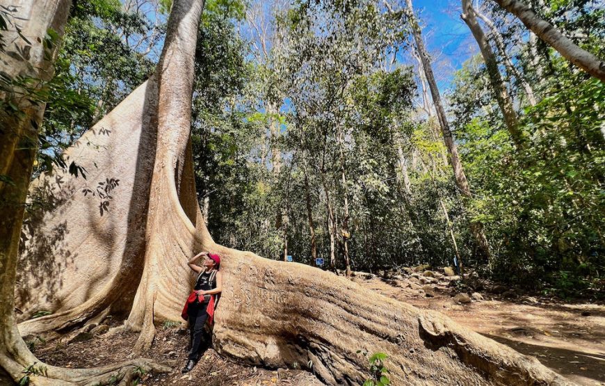 DU LỊCH “TẮM RỪNG” KHÁM PHÁ NAM CÁT TIÊN | 1 NGÀY | KHỞI HÀNH TỪ PHAN THIẾT