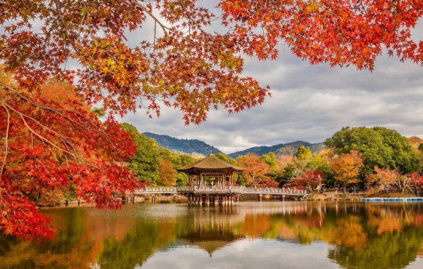 DU LỊCH NHẬT BẢN: TOKYO – OSAKA – KYOTO – NARA – NAGOYA – FUJI |5N5Đ| KHỞI HÀNH TỪ TP.HCM