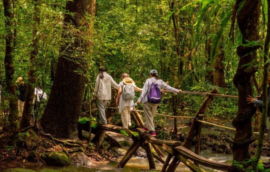 DU LỊCH “TẮM RỪNG” KHÁM PHÁ NAM CÁT TIÊN | 1 NGÀY | KHỞI HÀNH TỪ PHAN THIẾT