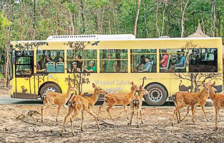 DU LỊCH PHÚ QUỐC 2026 – VIN WONDERS – SAFARI – GRAND WORLD – CÁP TREO SUN WORLD | 3N2Đ| BAY | KHỞI HÀNH TỪ PHAN THIẾT