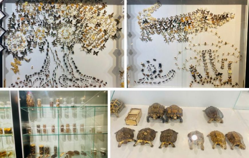 DU LỊCH “TẮM RỪNG” KHÁM PHÁ NAM CÁT TIÊN | 1 NGÀY | KHỞI HÀNH TỪ PHAN THIẾT