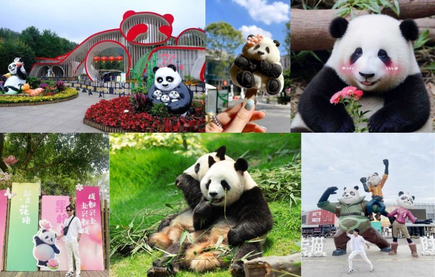 DU LỊCH “CỬU TRẠI CÂU” 2026: TRÙNG KHÁNH – THÀNH ĐÔ | 6N5Đ | KHỞI HÀNH TỪ TP.HCM