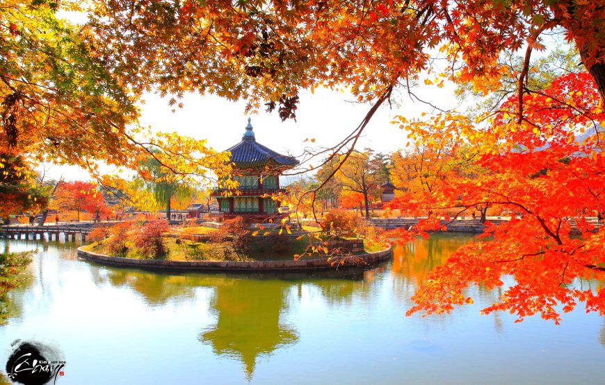 DU LỊCH HÀN QUỐC: SEOUL – NAMI – EVERLAND |5N4Đ| KHỞI HÀNH TỪ TP.HCM