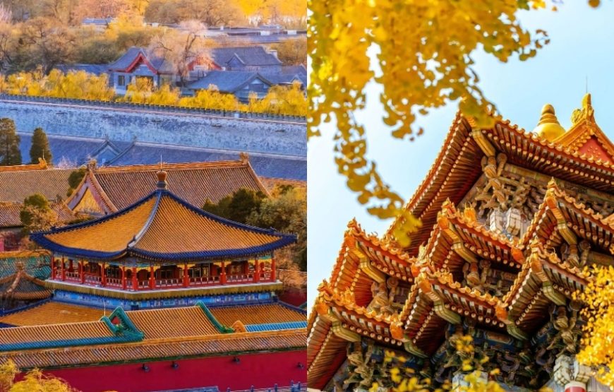 DU LỊCH TRUNG QUỐC 2026: BẮC KINH -THƯỢNG HẢI – HÀNG CHÂU – TÔ CHÂU  | 7N6Đ | KHỞI HÀNH TỪ TP.HCM