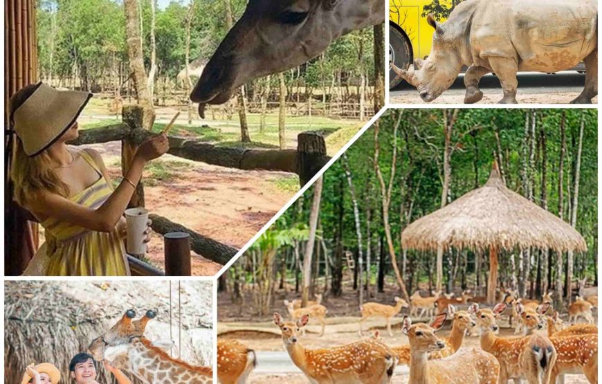 DU LỊCH PHÚ QUỐC 2026 – VIN WONDERS – SAFARI – GRAND WORLD – CÁP TREO SUN WORLD | 3N2Đ| BAY | KHỞI HÀNH TỪ PHAN THIẾT