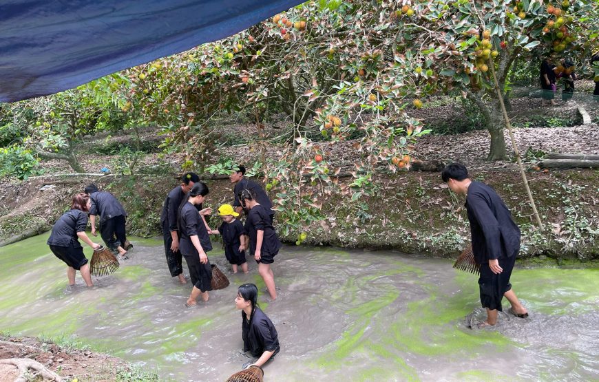 TOUR LIÊN TUYẾN ĐÔNG -TÂY NAM BỘ: CỒN SƠN – CẦN THƠ – CHỢ NỔI CÁI RĂNG – KDL VINH SANG VĨNH LONG – TÂY NINH – ĐỊA ĐẠO CỦ CHI- TP. HCM | 4N3Đ| KHỞI HÀNH TỪ PHAN THIẾT