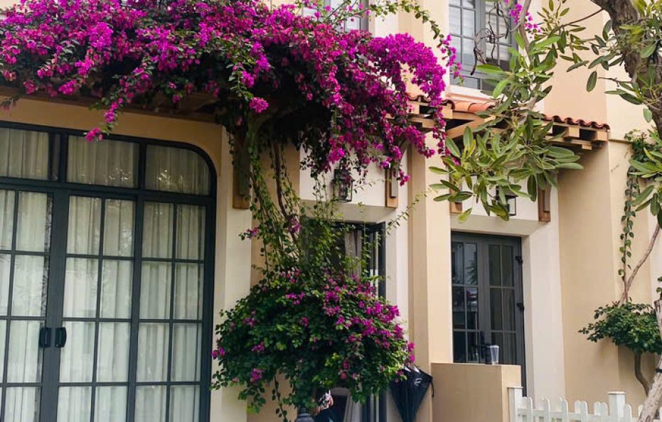 VILLA NOVA WORLD PHAN THIẾT CHÍNH CHỦ